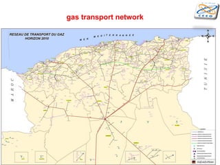 gas transport network
 