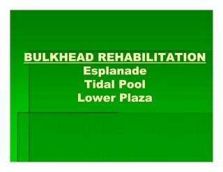 BULKHEAD REHABILITATION
Esplanade
Tidal Pool
Lower Plaza
 