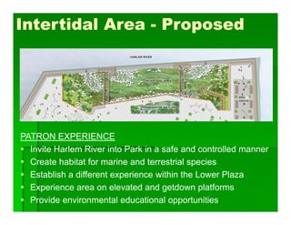 Intertidal Area - Proposed
PATRON EXPERIENCE
 Invite Harlem River into Park in a safe and controlled manner
 Create habitat for marine and terrestrial species
 Establish a different experience within the Lower Plaza
 Experience area on elevated and getdown platforms
 Provide environmental educational opportunities
 