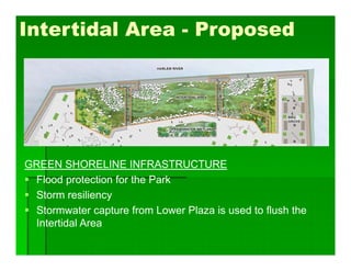 Intertidal Area - Proposed
GREEN SHORELINE INFRASTRUCTURE
 Flood protection for the Park
 Storm resiliency
 Stormwater capture from Lower Plaza is used to flush the
Intertidal Area
 