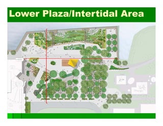 Lower Plaza/Intertidal Area
 