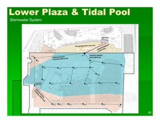 45
Lower Plaza & Tidal Pool
Stormwater System
 