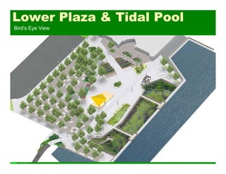 46
Lower Plaza & Tidal Pool
Bird’s Eye View
 