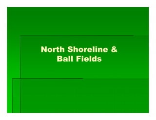 North Shoreline &
Ball Fields
 