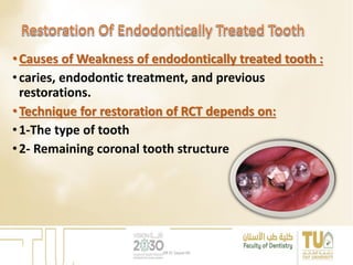 •Causes of Weakness of endodontically treated tooth :
•caries, endodontic treatment, and previous
restorations.
•Technique for restoration of RCT depends on:
•1-The type of tooth
•2- Remaining coronal tooth structure
DR EL Sayed Ali
 