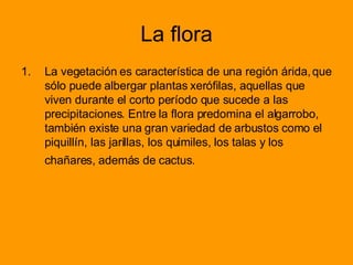 La flora La vegetación es característica de una región árida, que sólo puede albergar plantas xerófilas, aquellas que viven durante el corto período que sucede a las precipitaciones. Entre la flora predomina el algarrobo, también existe una gran variedad de arbustos como el piquillín, las jarillas, los quimiles, los talas y los chañares, además de cactus.   