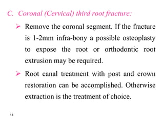 C. Coronal (Cervical) third root fracture:
 Remove the coronal segment. If the fracture
is 1-2mm infra-bony a possible osteoplasty
to expose the root or orthodontic root
extrusion may be required.
 Root canal treatment with post and crown
restoration can be accomplished. Otherwise
extraction is the treatment of choice.
14
 