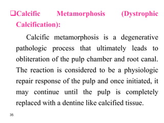 Calcific Metamorphosis (Dystrophic
Calcification):
Calcific metamorphosis is a degenerative
pathologic process that ultimately leads to
obliteration of the pulp chamber and root canal.
The reaction is considered to be a physiologic
repair response of the pulp and once initiated, it
may continue until the pulp is completely
replaced with a dentine like calcified tissue.
35
 