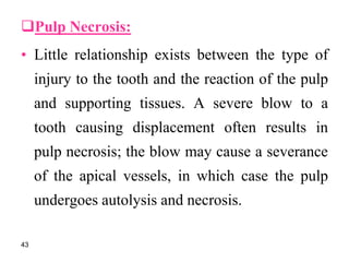Pulp Necrosis:
• Little relationship exists between the type of
injury to the tooth and the reaction of the pulp
and supporting tissues. A severe blow to a
tooth causing displacement often results in
pulp necrosis; the blow may cause a severance
of the apical vessels, in which case the pulp
undergoes autolysis and necrosis.
43
 