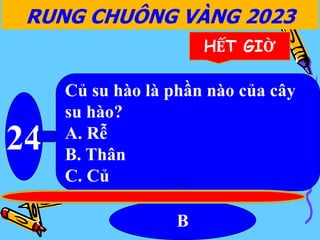 Củ su hào là phần nào của cây
su hào?
A. Rễ
B. Thân
C. Củ
24
B
RUNG CHUÔNG VÀNG 2023
HẾT GIỜ
 