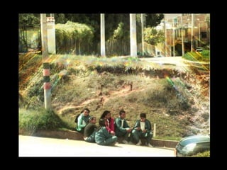 ACTIVIDAD DE MOLADALIDAD 2012