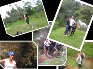 ACTIVIDAD DE MOLADALIDAD 2012