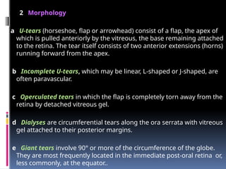2 Morphology
a U-tears (horseshoe, flap or arrowhead) consist of a flap, the apex of
which is pulled anteriorly by the vitreous, the base remaining attached
to the retina. The tear itself consists of two anterior extensions (horns)
running forward from the apex.
b Incomplete U-tears, which may be linear, L-shaped or J-shaped, are
often paravascular.
c Operculated tears in which the flap is completely torn away from the
retina by detached vitreous gel.
d Dialyses are circumferential tears along the ora serrata with vitreous
gel attached to their posterior margins.
e Giant tears involve 90° or more of the circumference of the globe.
They are most frequently located in the immediate post-oral retina or,
less commonly, at the equator..
 