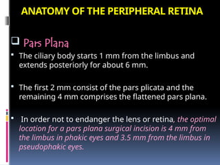 ANATOMY OF THE PERIPHERAL RETINA
 Pars Plana
 The ciliary body starts 1 mm from the limbus and
extends posteriorly for about 6 mm.
 The first 2 mm consist of the pars plicata and the
remaining 4 mm comprises the flattened pars plana.
 In order not to endanger the lens or retina, the optimal
location for a pars plana surgical incision is 4 mm from
the limbus in phakic eyes and 3.5 mm from the limbus in
pseudophakic eyes.
 