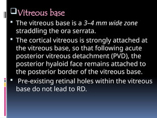 Vitreous base
 The vitreous base is a 3–4 mm wide zone
straddling the ora serrata.
 The cortical vitreous is strongly attached at
the vitreous base, so that following acute
posterior vitreous detachment (PVD), the
posterior hyaloid face remains attached to
the posterior border of the vitreous base.
 Pre-existing retinal holes within the vitreous
base do not lead to RD.
 