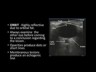 • ORBIT -highly reflective
due to orbital fat.
• Always examine the
other eye before coming
to a conclusion regarding
the lesion .
• Opacities produce dots or
short lines
• Membranous lesions
produce an echogenic
line
 