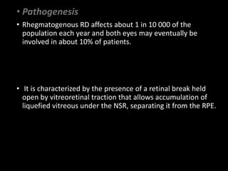 • Pathogenesis
• Rhegmatogenous RD affects about 1 in 10 000 of the
population each year and both eyes may eventually be
involved in about 10% of patients.
• It is characterized by the presence of a retinal break held
open by vitreoretinal traction that allows accumulation of
liquefied vitreous under the NSR, separating it from the RPE.
 