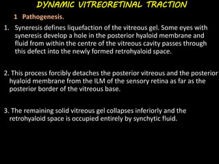 DYNAMIC VITREORETINAL TRACTION
1 Pathogenesis.
1. Syneresis defines liquefaction of the vitreous gel. Some eyes with
syneresis develop a hole in the posterior hyaloid membrane and
fluid from within the centre of the vitreous cavity passes through
this defect into the newly formed retrohyaloid space.
2. This process forcibly detaches the posterior vitreous and the posterior
hyaloid membrane from the ILM of the sensory retina as far as the
posterior border of the vitreous base.
3. The remaining solid vitreous gel collapses inferiorly and the
retrohyaloid space is occupied entirely by synchytic fluid.
 