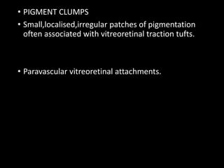 • PIGMENT CLUMPS
• Small,localised,irregular patches of pigmentation
often associated with vitreoretinal traction tufts.
• Paravascular vitreoretinal attachments.
 