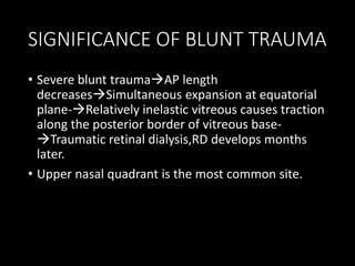 SIGNIFICANCE OF BLUNT TRAUMA
• Severe blunt traumaAP length
decreasesSimultaneous expansion at equatorial
plane-Relatively inelastic vitreous causes traction
along the posterior border of vitreous base-
Traumatic retinal dialysis,RD develops months
later.
• Upper nasal quadrant is the most common site.
 