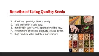 Benefits of Using Quality Seeds
 