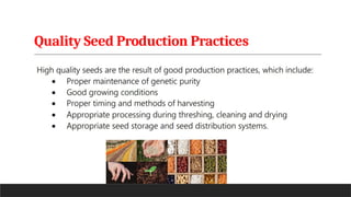 Quality Seed Production Practices
 