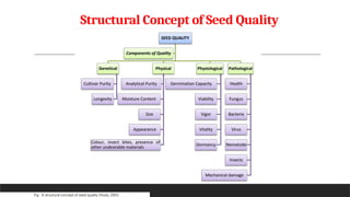 Structural Concept of Seed Quality
 