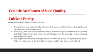 Genetic Attributes of Seed Quality
Cultivar Purity
 