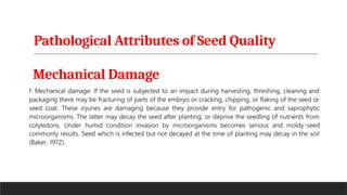 Pathological Attributes of Seed Quality
Mechanical Damage
 