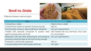 Seed vs. Grain
 