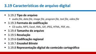3.19 Características de arquivo digital
 3.19.2 Tipo de arquivo
 audio file, data file, image file, program file, text file, video file
 3.19.3 Formato de codificação
 CD audio, MP3, Excel, XML, GIF, JPEG, HTML, PDF, etc.
 3.19.4 Tamanho do arquivo
 3.19.5 Resolução
 3.19.6 Codificação regional
 3.19.7 Encoded Bitrate
 3.19.8 Representação digital do conteúdo cartográfico
 