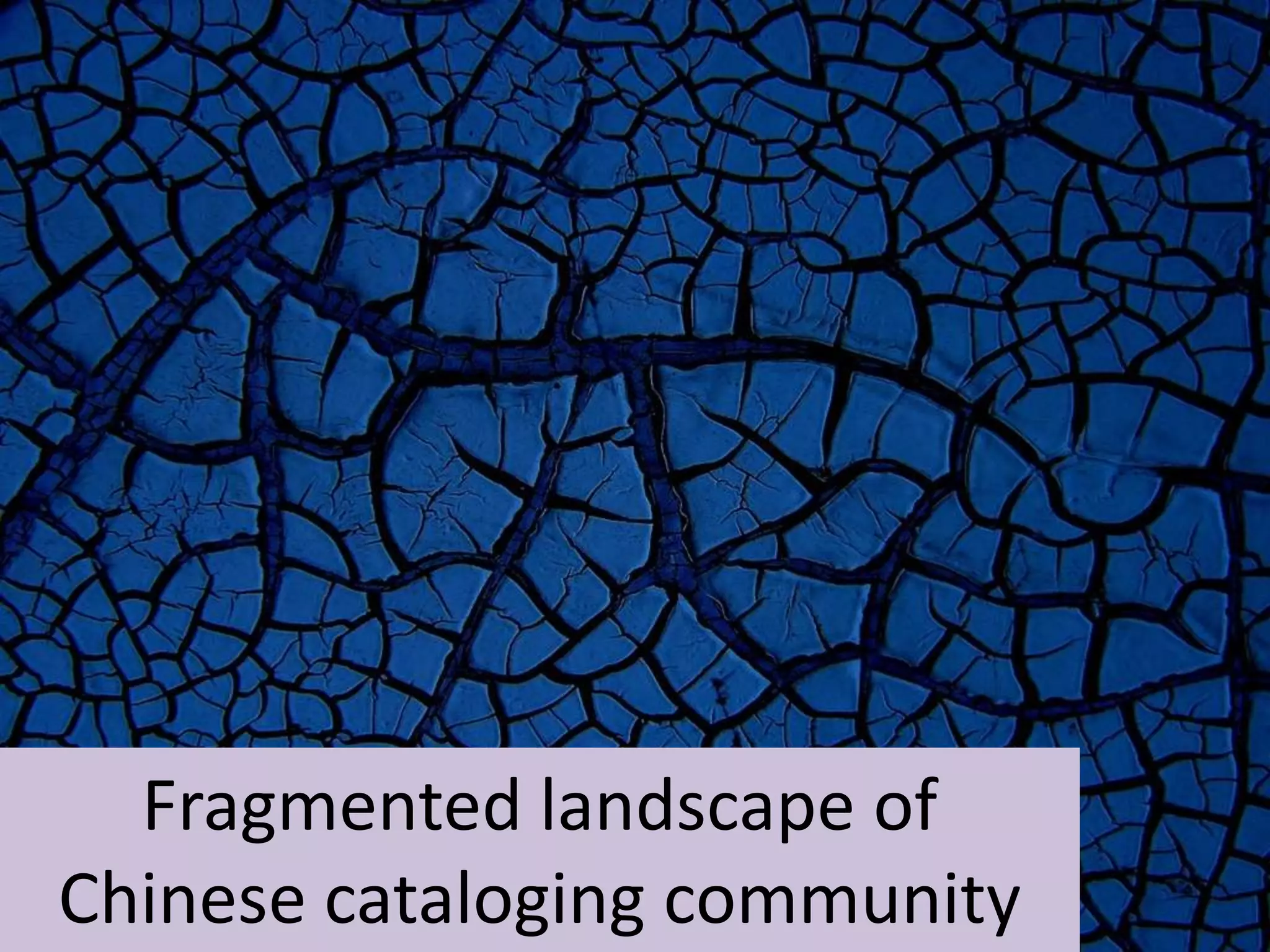 Fragmented landscape of
Chinese cataloging community
 
