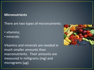 Micronutrients
There are two types of micronutrients:
• vitamins;
• minerals.
Vitamins and minerals are needed in
much smaller amounts than
macronutrients. Their amounts are
measured in milligrams (mg) and
micrograms (μg).
 