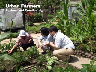 49
Urban Farmers
Environment Practice
 