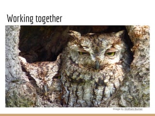 Working together
Image by Wolfram Burner
 