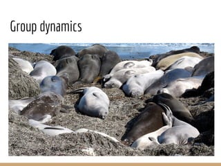 Group dynamics
 
