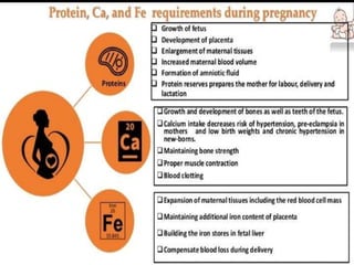 Rda ppt | PPTX | Pregnancy | Reproductive Health