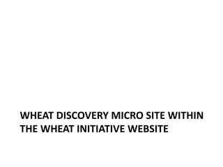 WHEAT DISCOVERY MICRO SITE WITHIN
THE WHEAT INITIATIVE WEBSITE
 