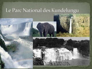 Le Parc National des Kundelungu