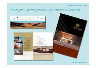 Brand and Corporate Identity Projects



TerraSeis - Brand Strategy, New Identity & Brochure




                                                Rob Davie Consulting © 2009
 