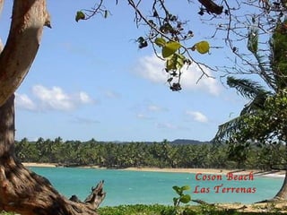 Coson Beach Las Terrenas 