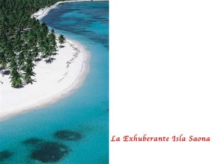 La Exhuberante Isla Saona 