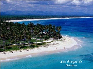Las Playas de B ávaro 