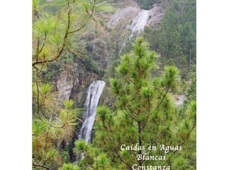 Ca ídas en Aguas Blancas Constanza 