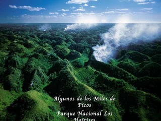 Algunos de los Miles de Picos Parque Nacional Los Ha ïtises 