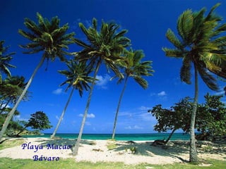Playa Macao B ávaro 