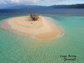Cayo Arena (frontal) Saman á 