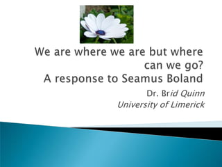 Dr. Brid Quinn
University of Limerick
 