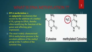 WHAT IS DNA METHYLATION ??
 DNA methylation is
an epigenetic mechanism that
occurs by the addition of a methyl
(CH3) group to DNA, thereby
often modifying the function of the
genes and affecting gene
expression.
 The most widely characterized
DNA methylation process is the
covalent addition of the methyl
group at the 5-carbon of the
cytosine ring
3
 