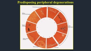 Predisposing peripheral degenerations
 